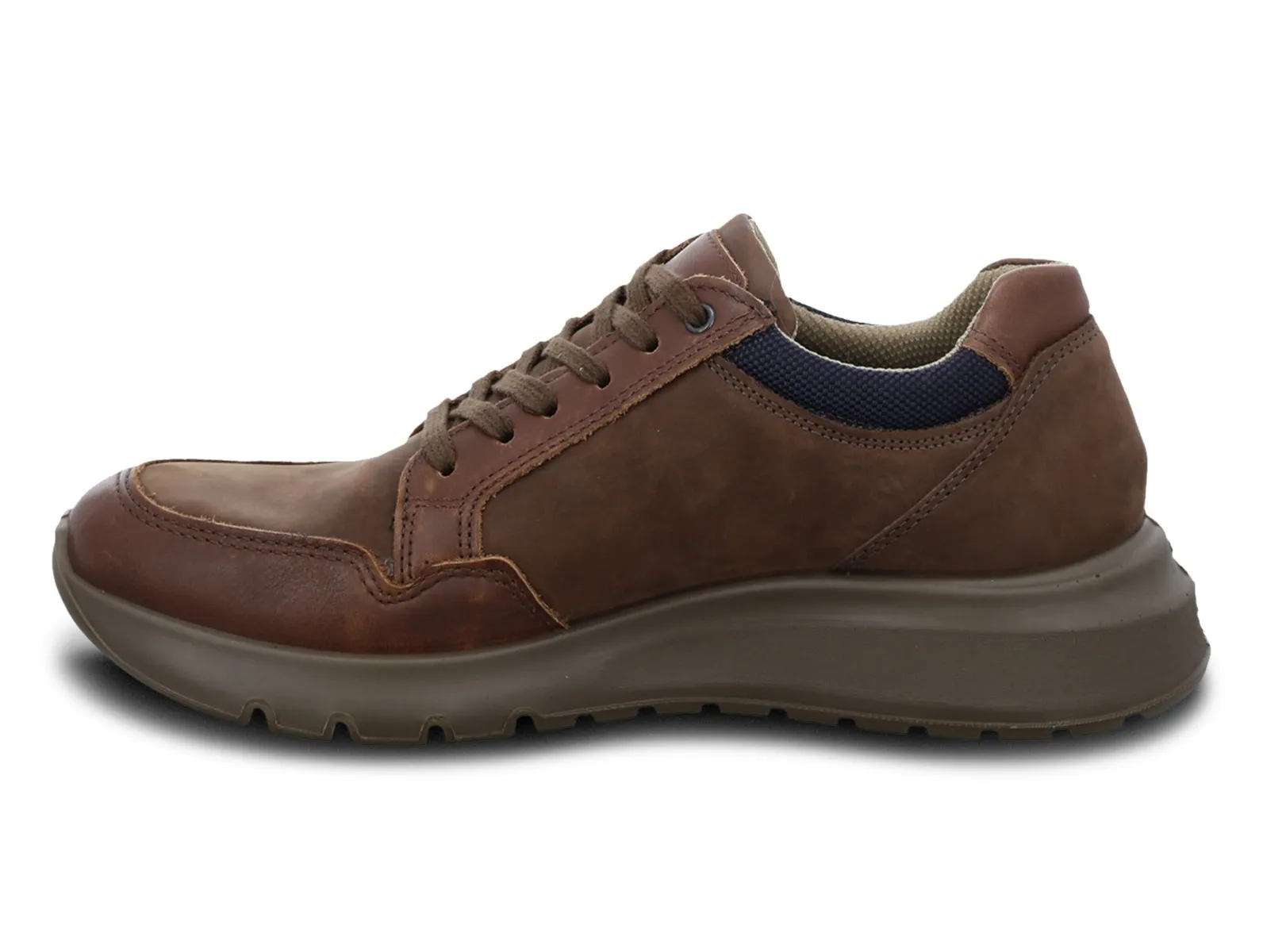 Ara 11-37801-14 Arizona - Moro Blue