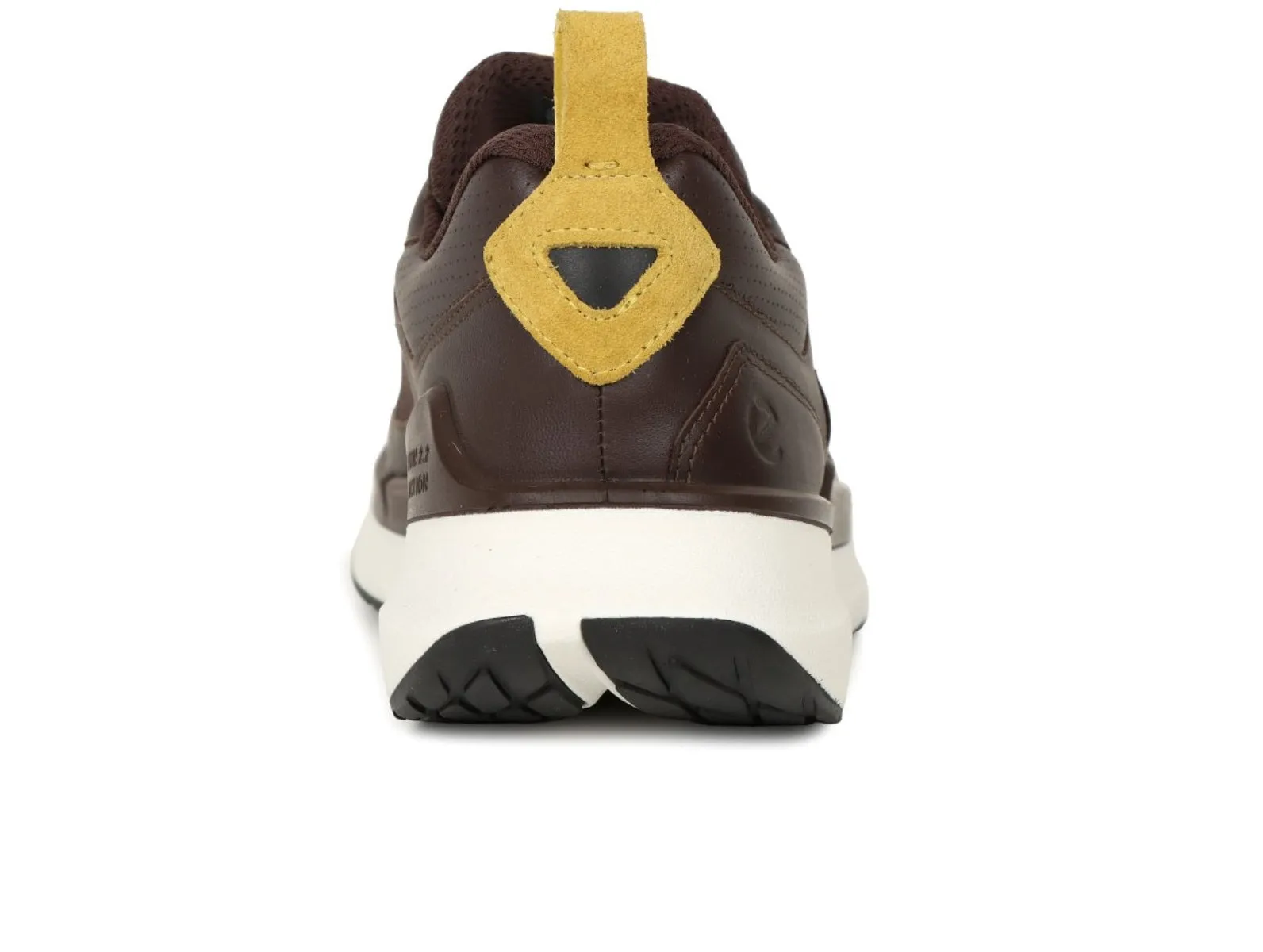 Ecco BIOM 2.2 GTX 830814 61061 - Brown Olive