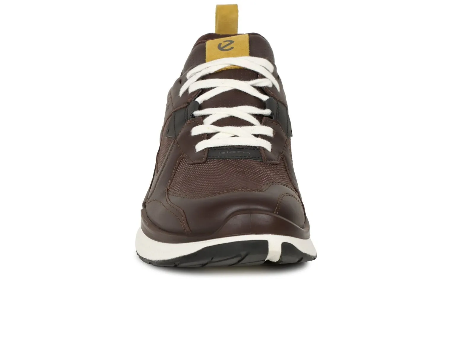 Ecco BIOM 2.2 GTX 830814 61061 - Brown Olive