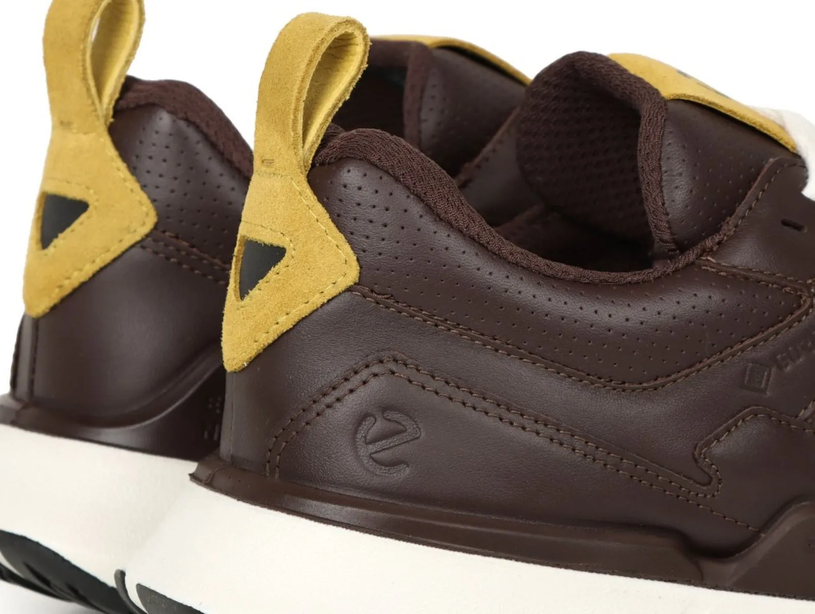 Ecco BIOM 2.2 GTX 830814 61061 - Brown Olive