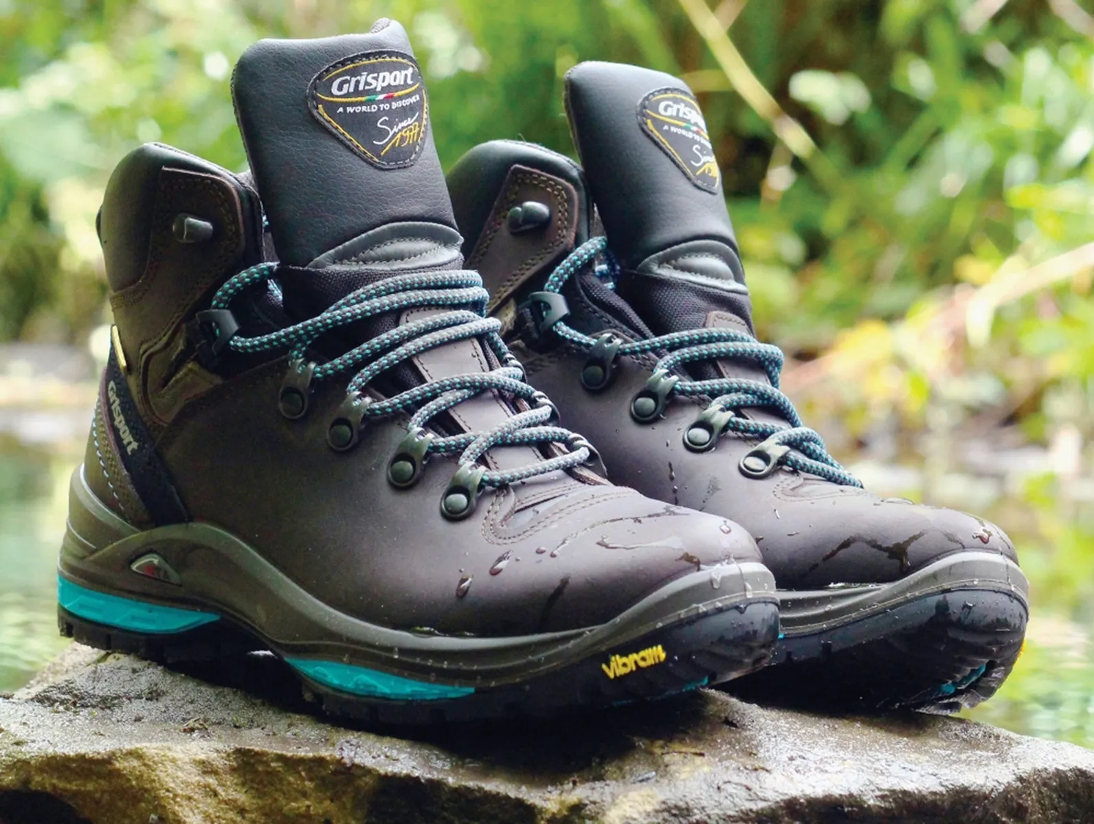 Gri Sport Lady Glide GLG719BR - Brown