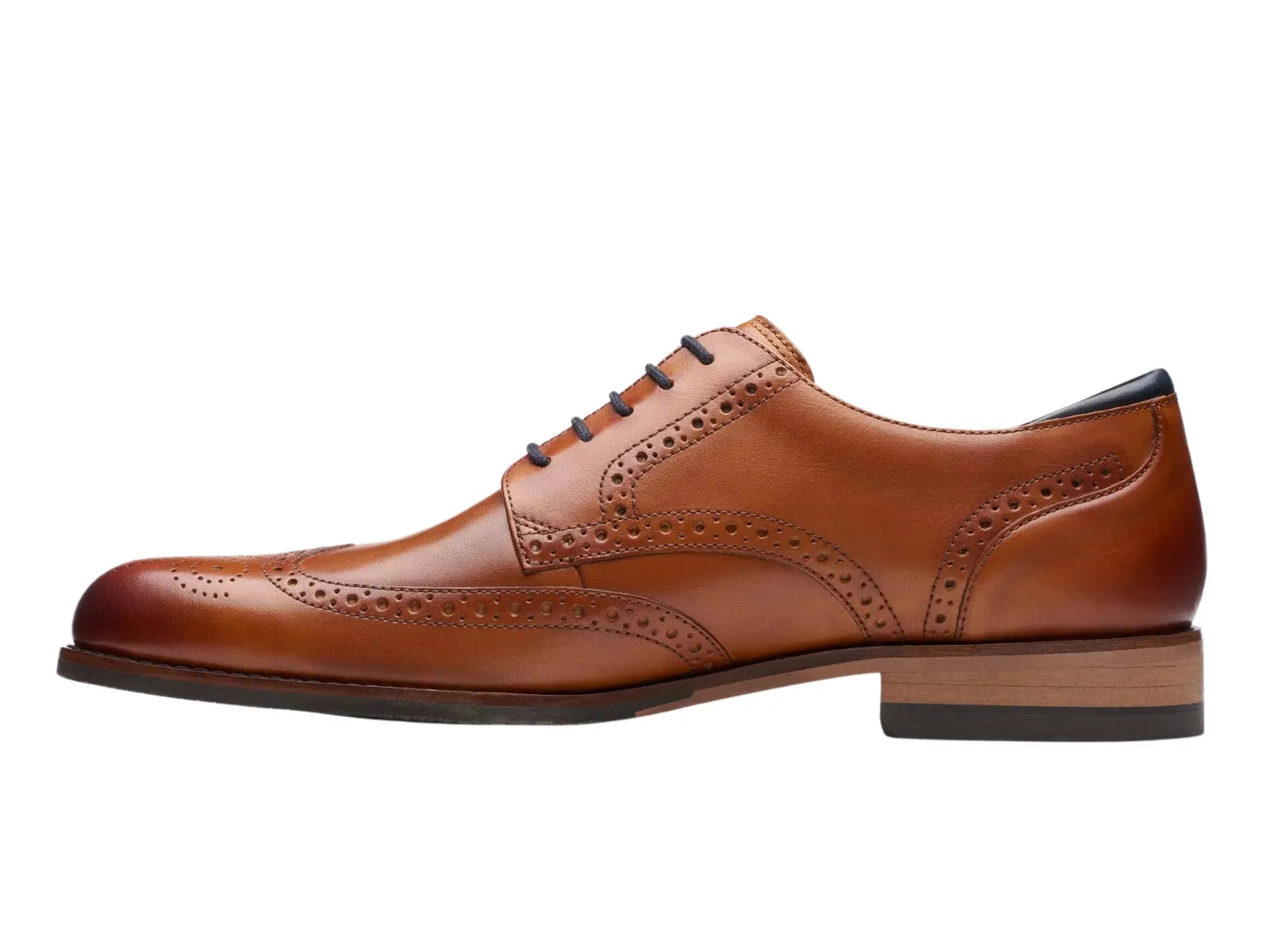 The Craft Arlo Limit Brogue - Tan