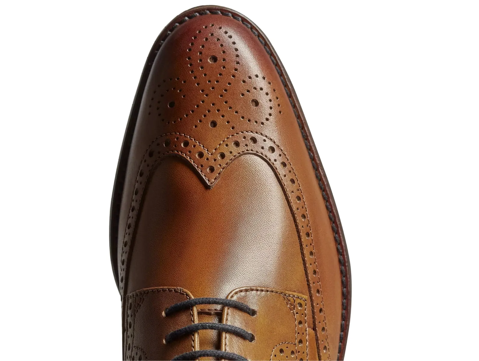 The Craft Arlo Limit Brogue - Tan